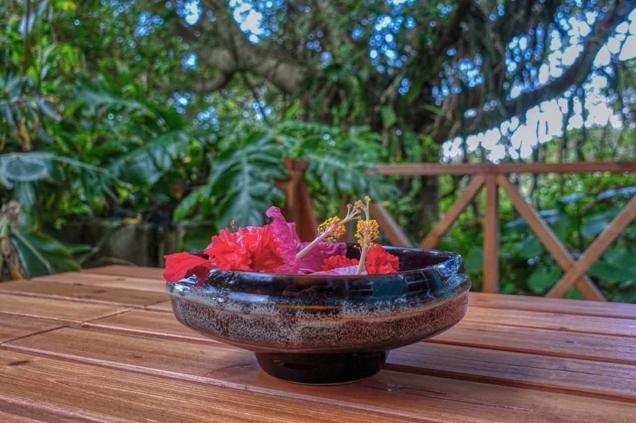 435 Ishigaki (Okinawa) Exterior foto